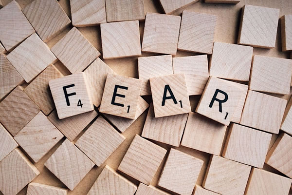 Phobia Phobia